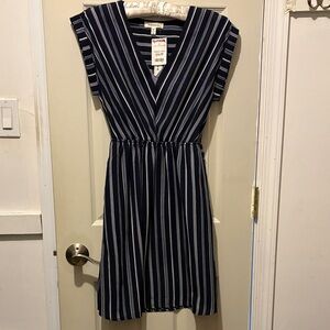 Monteau Navy and White Striped Midi Dress